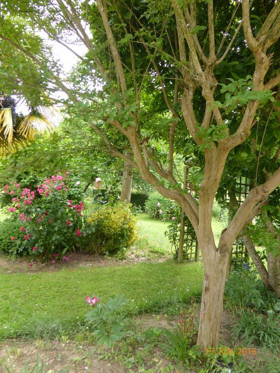Loubieres Bedbreakfastbikespyrenees Bed & Breakfast エクステリア 写真