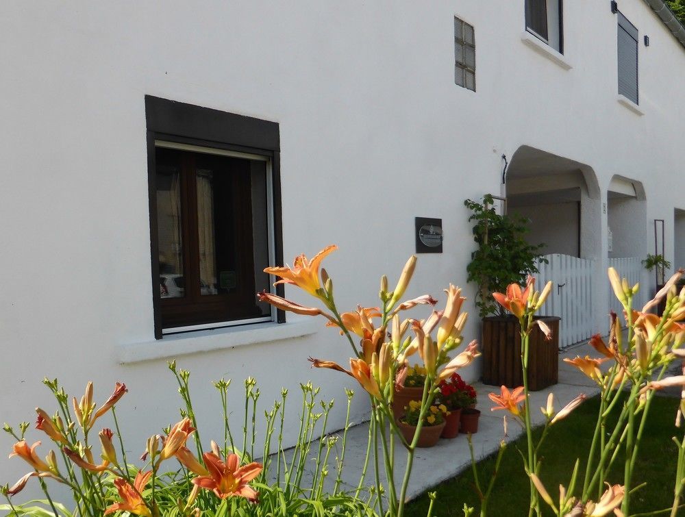 Loubieres Bedbreakfastbikespyrenees Bed & Breakfast エクステリア 写真